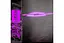 Батут із внутрішньою сіткою THUNDER OUTSIDE PRO 16FT 488 см Black/Pink - мініатюра 4