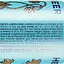 Уцінка. Пиво Lowenbrau Original, світле, 5,1%, з/б, 0,5 л  - мініатюра 3