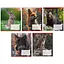 Зошити учнівські 24 аркуша лінія 1B Animals of Ukraine, 20 шт. в упаковці - мініатюра 1