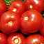 Томат Весна Волгоградський (у банці) Органік 3г (45444) - мініатюра 2