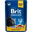 Влажный корм Brit Premium Cat Pouch для кошек с лососем и форелью 100 г - миниатюра 1