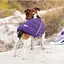 Жилет Pet Fashion E.Vest для собак, розмір L, фіолетовий - мініатюра 5