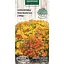 Насіння Чорнобривці мексиканські Насіння України суміш 0.1 г (774400) - мініатюра 1
