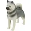 Дитяча іграшкова фігурка тварини Siberian Husky Bambi TBS086-8 - мініатюра 1