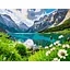 Картина по номерам Strateg Альпийская долина 30х40 см (SS-1292) - миниатюра 1