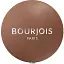 Моно-тени для век Bourjois Ombre A Paupieres тон 05 (Classic Brown) 1.2 г (8000018800430) - миниатюра 1