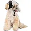 Шапка для собак Pet Fashion Bubo M Черная - миниатюра 2