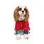 Вітровка Pet Fashion Air для собак, розмір XS-2, червона - мініатюра 3