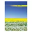 Книга обліку, А4, 96 арк., клітинка, офсет, тверда ламінована обкладинка - мініатюра 1