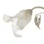 Люстра стельова Brille флористика E14 60W G (BKL-167C/3) - мініатюра 2