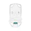 Мишка A4Tech FB50C Plus Wireless/Bluetooth White (4711421002875) - мініатюра 12