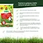 Тверде добриво тривалої дії для газонів COMPO 20 кг - мініатюра 5