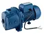 Відцентровий насос Forwater JDW750 750 Вт з виносним інжектором (CV014438) - мініатюра 1