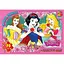 Дитячий пазл класичний Принцеси Дісней PD92 постер 70 елементів - мініатюра 1