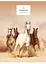 Комплект 4 шт загальних зошитів. Зошит Школярик А5 80 арк. у лінію 5061 4823088207750 - мініатюра 2