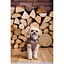 Жилет Pet Fashion Hardy для собак розмір L - мініатюра 10