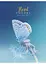 Комплект 4 шт загальних зошитів. Зошит Школярик А5 80 арк. у лінію 5065 4823088207774 - мініатюра 4