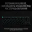 Клавиатура Logitech G PRO USB Black (920-009392) - миниатюра 3