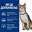 Сухий корм Hill's Prescription Diet k/d для котів підтримання функції нірок з куркою - мініатюра 5