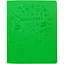 Щоденник шкільний Brisk Raso Gold Салатовий (2000989925682)(SC) - мініатюра 1