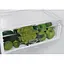 Холодильник WHIRLPOOL W5 911E OX - миниатюра 4