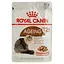 Влажный корм корма с мясом для кошек Royal Canin Ageing+12 1.02 кг (12 шт. х 85 г) - миниатюра 2