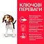 Сухий корм Hill’s SP Puppy Medium Breed для цуценят середніх порід з куркою 14 кг - мініатюра 2