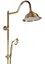 Душевая система Rea Bergamo antique bronze с изливом REA-P5002, Бронза - миниатюра 4