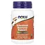 Поддержка бактерий кишечника Intestinal Bacteria Support Now Foods 60 вегетарианских капсул - миниатюра 1