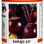 Буряк Весна Бордо (у банці) 80г (46939) - мініатюра 1
