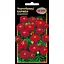Насіння НК Еліт Чорнобривці Кармен 0.5 г (73787) - мініатюра 1