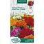 Насіння Целозія гребінчаста Насіння України Букетна суміш 0.1 г (804800) - мініатюра 1