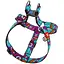 Шлея для собак Waudog Nylon з QR паспортом, малюнок "Літо", пластиковий фастекс, XL - мініатюра 2
