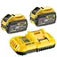 Зарядний пристрій DeWalt + 2 акумулятори DCB118X2 - мініатюра 1