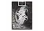 Карти гральні United States Playing Card Company Bicycle Black Dragon (ВР_КИББД) - мініатюра 2