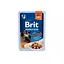 Корм вологий Brit Premium Delicate Fillets in Gravy Turkey для кішок філе в соусі індичка 85 г - мініатюра 1