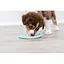 Миска Trixie Junior для медленного кормления щенков, голубая, пластик, d 15 см - миниатюра 5