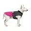 Попона Pet Fashion Roy для собак, розмір 5XL, малиново-сірий - мініатюра 3