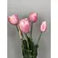 Тюльпани штучні Hvoya Real Touch латексні піоновидні букет 5 квіток ніжно-рожеві - мініатюра 3