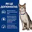 Сухий корм Hill's Prescription Diet ActivBiome+ Kidney Defense для котів підтримання функції нірок, з тунцем, 3 кг - мініатюра 4