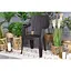 Стул садовый пластиковый Bica Alta графит - миниатюра 3