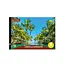 Альбом для малювання Апельсин Tropical summer A4 АП-0301-8, 8 аркушів, скоба з перефорацією - мініатюра 1