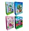 Подарунковий пакет "Діно" 31х42х12см, набір з 4-х штук bl2501-117 - мініатюра 1