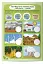 Екологія. Як стати рятівником природи з наліпками 6+ - миниатюра 2