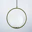 Підвісний світильник в корпусі латунь у формі кола | Line F | Арт. AA356-200 M - мініатюра 3