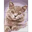 Картина по номерам по дереву "Котик" ASW150 30х40 см - миниатюра 1