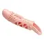 Насадка на пеніс PRETTY LOVE - Cecelia PENIS SLEEVE PRETTY LOVE BI-026242 100564 - мініатюра 1