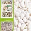 Квасоля "Бондюель" ТМ "Весна" 100г (24116) - мініатюра 1