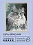 Набір з алмазною мозаїкою "Сіра красуня" 40*50 см, IDEA2-CK2002, ТМ "99IDEAS" - мініатюра 2