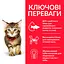 Сухий корм Hill's SP Kitten для котят та кішок у період вагітності та лактації, з куркою, 1,5 кг - мініатюра 3